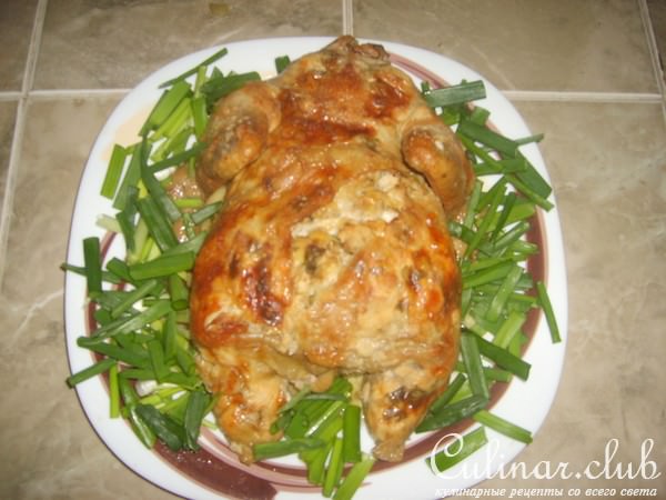 Курица...фаршированная.. дубльстописят!! Мой первый Куренок!