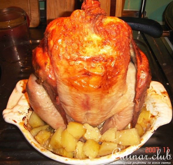 Курица на бутылке