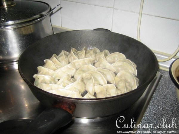гёдза (японские пельмени)