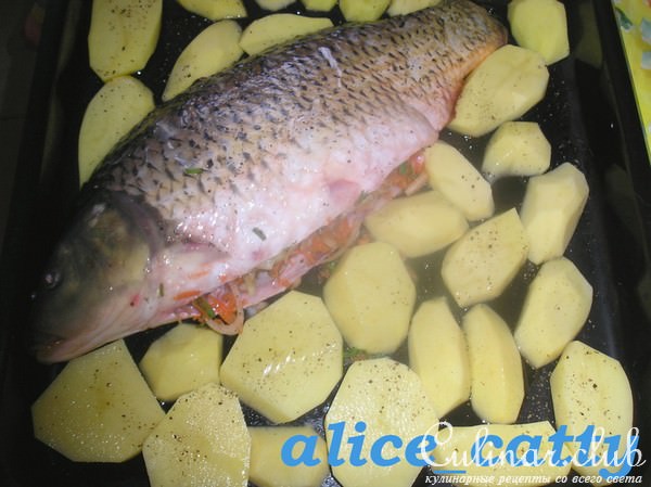 КАРП ЗАПЕЧЕНЫЙ С ОВОЩАМИ