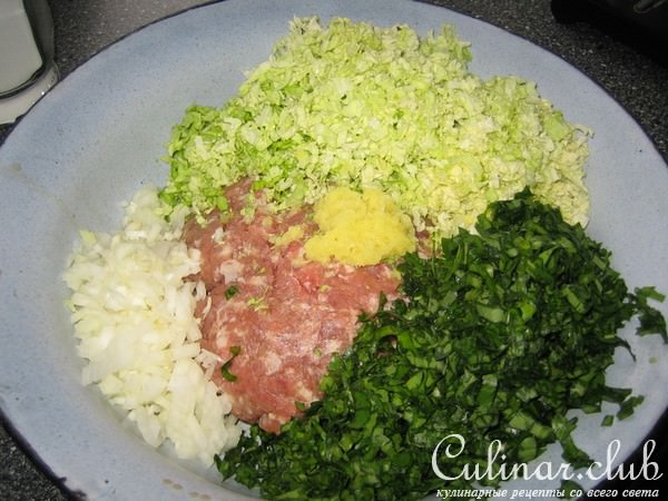 гёдза (японские пельмени)
