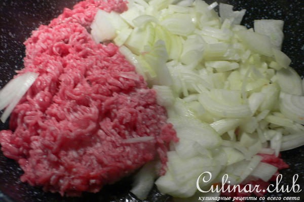 Тушёная картошка с луком и фаршем( Geschmortes Zwiebelhackfleisch )