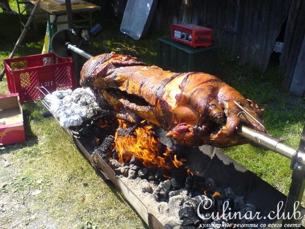 свинка на вертеле