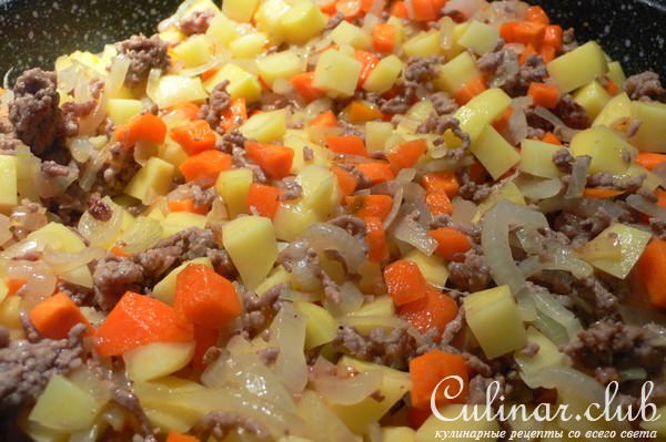 Тушёная картошка с луком и фаршем( Geschmortes Zwiebelhackfleisch )