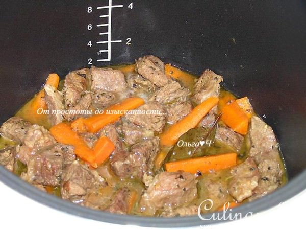 Рагу из говядины с морковью и мятой (в мультиварке)