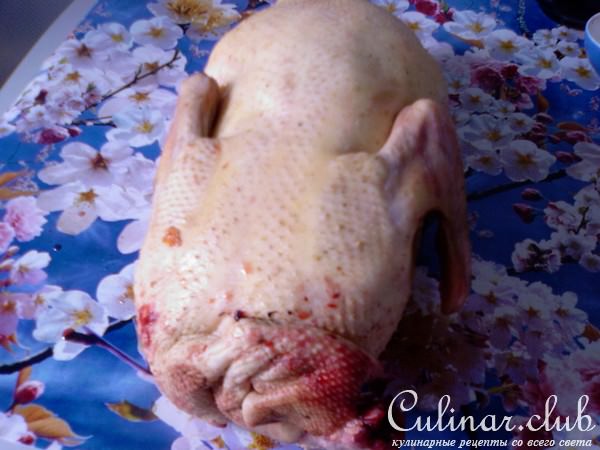 Утиные истории по тайским мотивам.