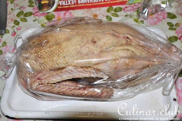 Гусь, водоплавающий в рассоле, запеченный с вкусной начинкой
