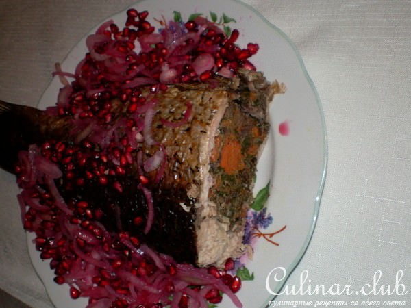 сазан с секретным брюшком
