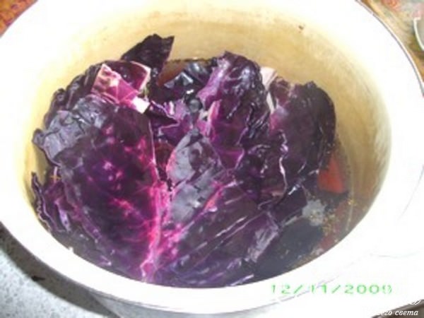 Кета с красной капустой