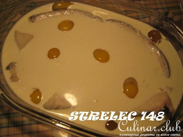 Маслянная рыба "148".