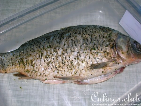Карп с овощами в базиликовом соусе