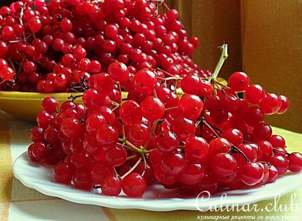 Калина с мёдом