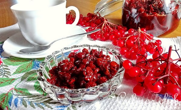 Калина с мёдом