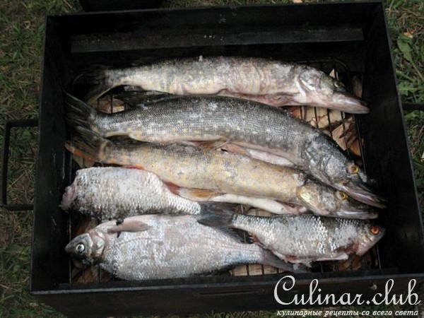 Коптим рыбу,мясо и что поймаем)