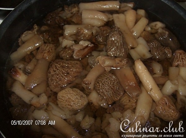 Жюльен из сморчков