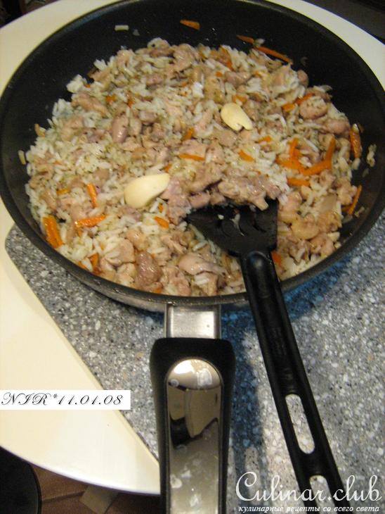 пловчик