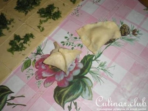 "Лжеслойки"