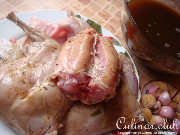 Кролик, замаринованный и потушенный в пиве (+ мои заметки по теме…)