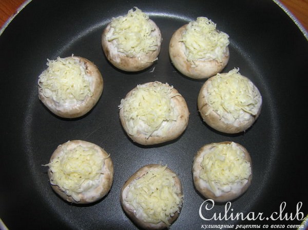 Грибная полянка
