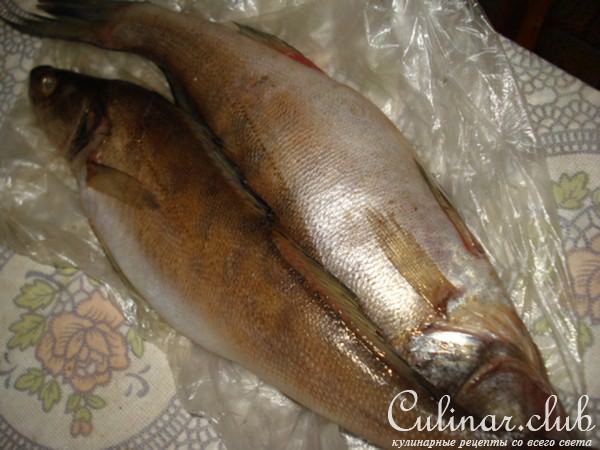 Шашлык из судака