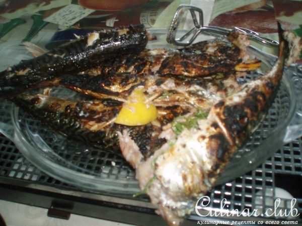 Макрель, она же скумбрия для пикника