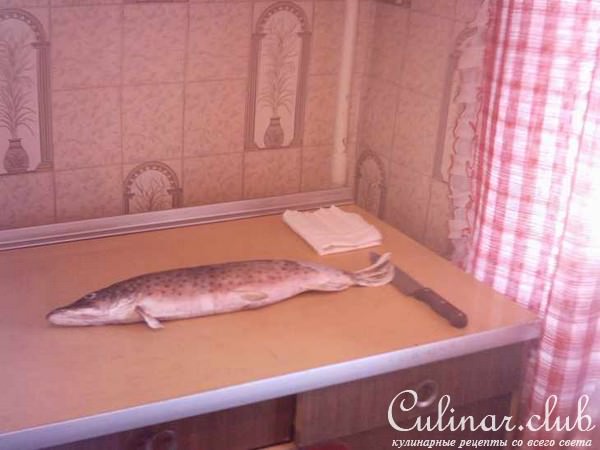 Тала