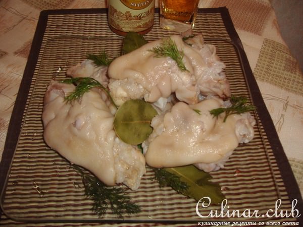 МОЖОЖ - свиные маринованные ножки