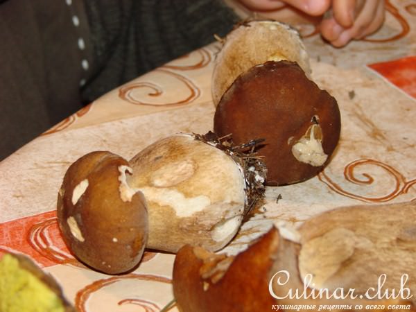 Белые грибы соленые (квашенные).