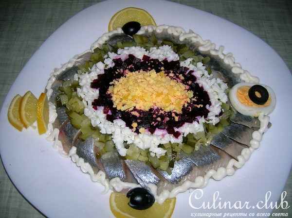 Селёдочка ( просто фото, не претендующее на оценки)