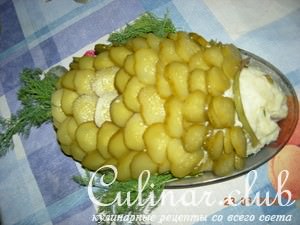 Закуска 