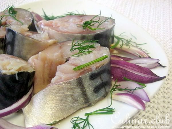 Скумбрия быстрого посола