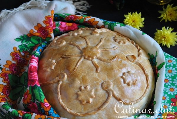 Мой IDEALный КУРНИК