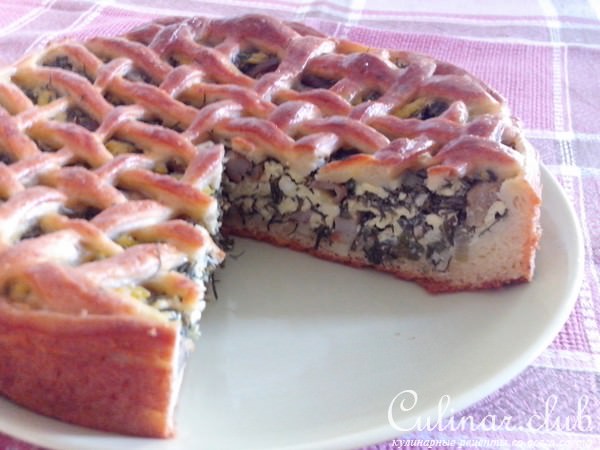 Пирог из творожного теста с зеленым луком, грибами и яйцами