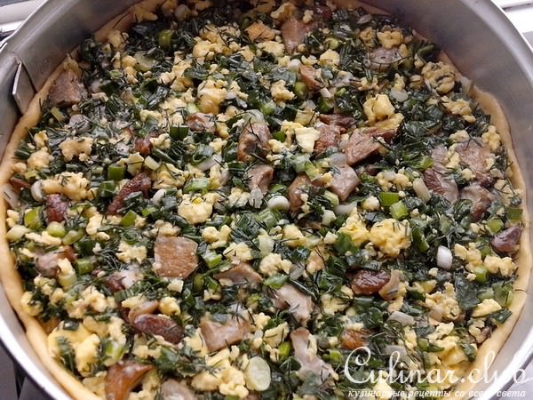 Пирог из творожного теста с зеленым луком, грибами и яйцами