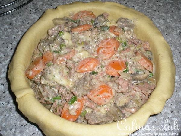 Мясной пирог 