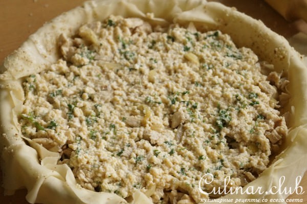 БАСТИЙЯ С КУРИЦЕЙ (CHICKEN B39;STILLA)