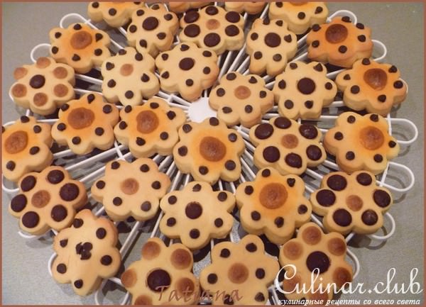 Печенье сметанное с шоколадом
