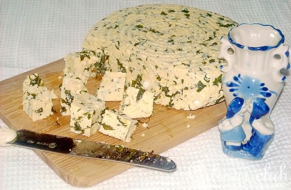 Мягкий домашний сыр с зеленью