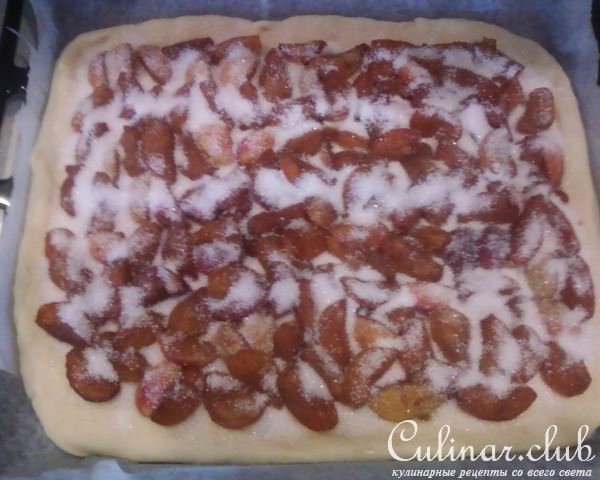 Начинка для пирогов из алычи