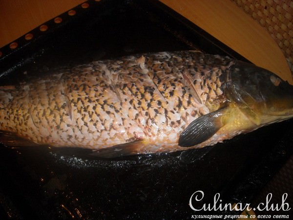 Фаршированный карп