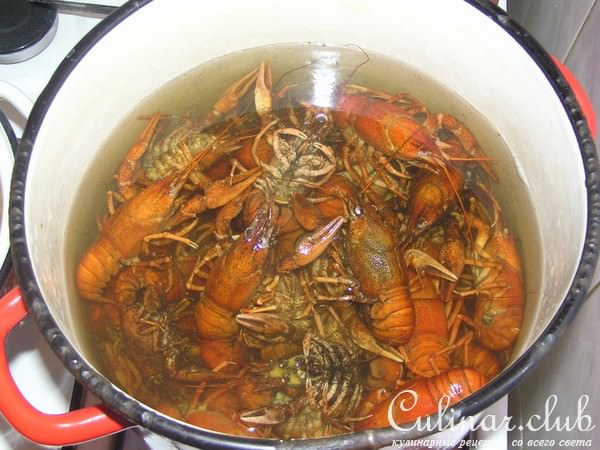 Раки в квасе