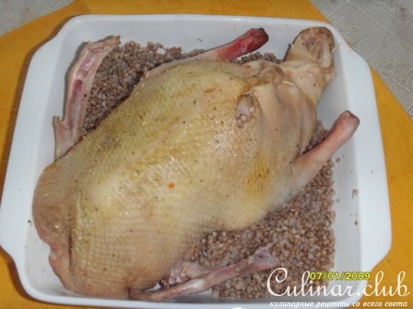 Утка фаршированная гречкой и грибами