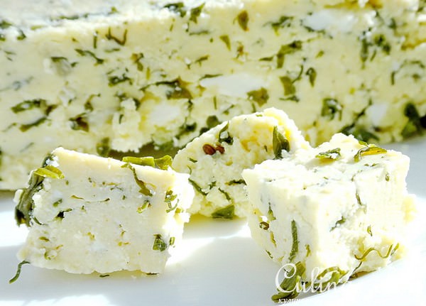 Мягкий домашний сыр с зеленью