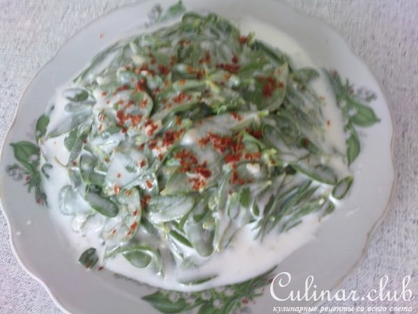 портулак с йогуртом (yourtlu semizotu salatas)