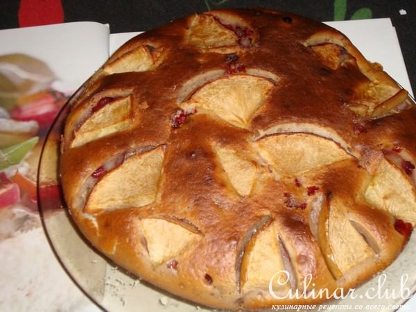 Шарлотка домашняя 
