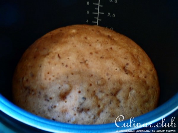 Коврижка медовая с орехами.