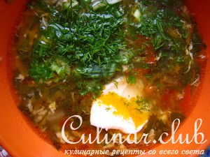 Щи щавелевые (вариант)