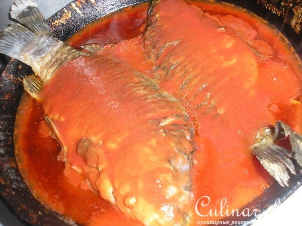 Борщ из рыбы