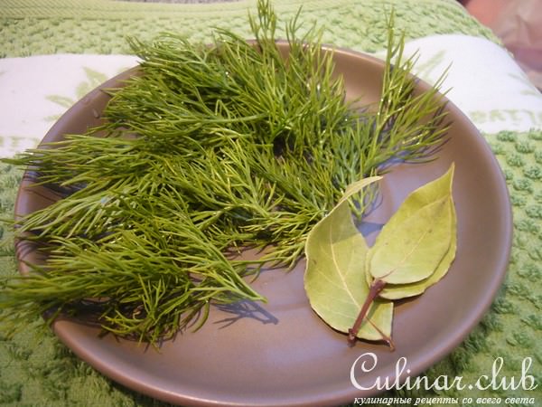 Уха из семги (вариант)