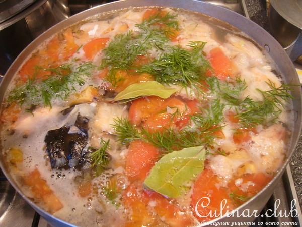 Уха из семги (вариант)